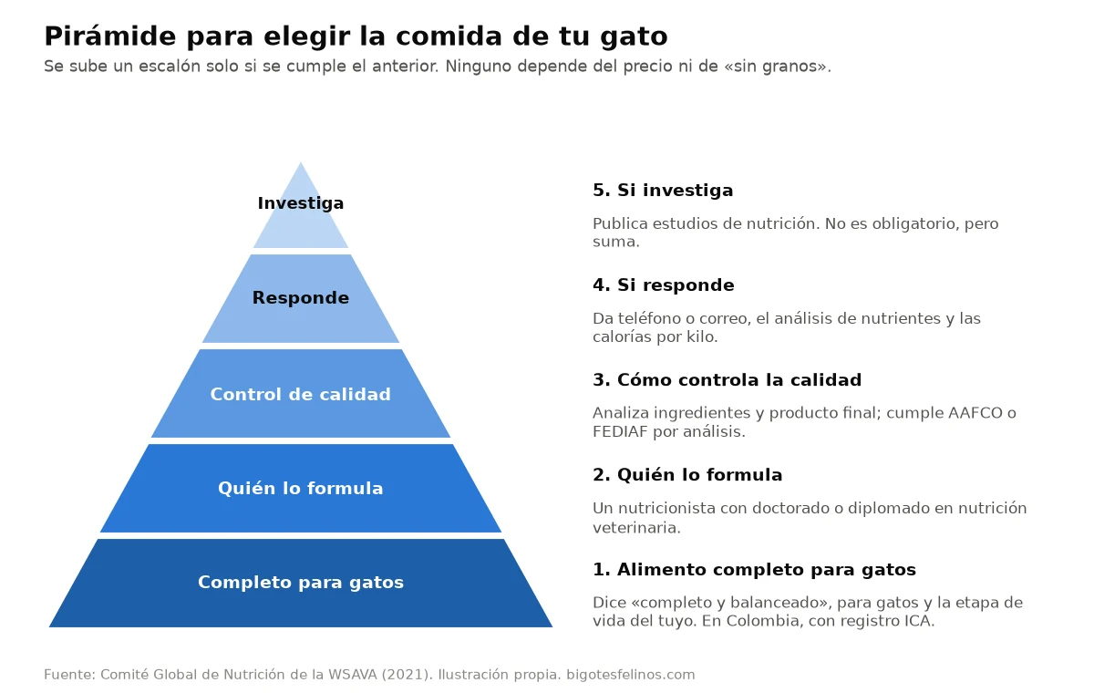 Pirámide de cinco escalones para elegir la comida del gato: alimento completo, quién lo formula, control de calidad, si responde y si investiga