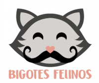 Bigotes Felinos | Web para Catlovers